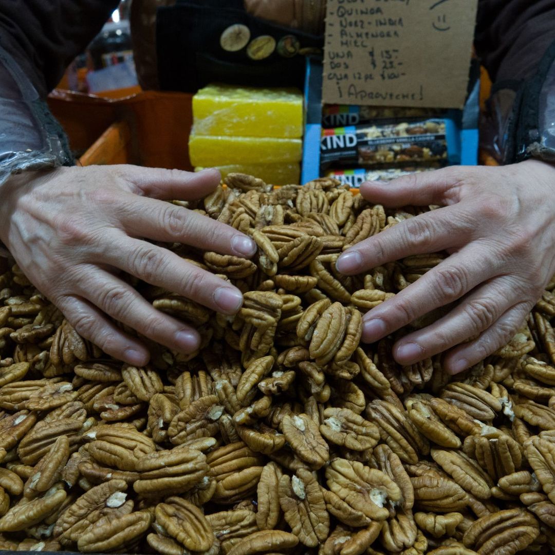 La nuez pecana es el fruto comestible del árbol Carya illinoinensis. Foto: Cuartoscuro